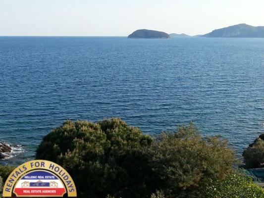 Hellenic Estate Suites PalaiónTsiflíkion Esterno foto